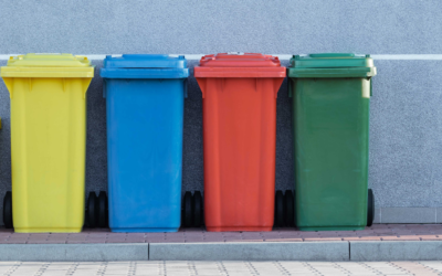 Composting vs Recycling: Which is better?