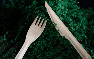 Single-Use Wood Cutlery: Myths Debunked