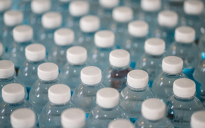 4 Reasons Why Bioplastics Won’t Solve our Plastic Problem