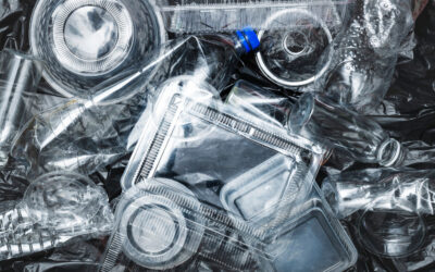 The Canada Plastic Ban Breakdown