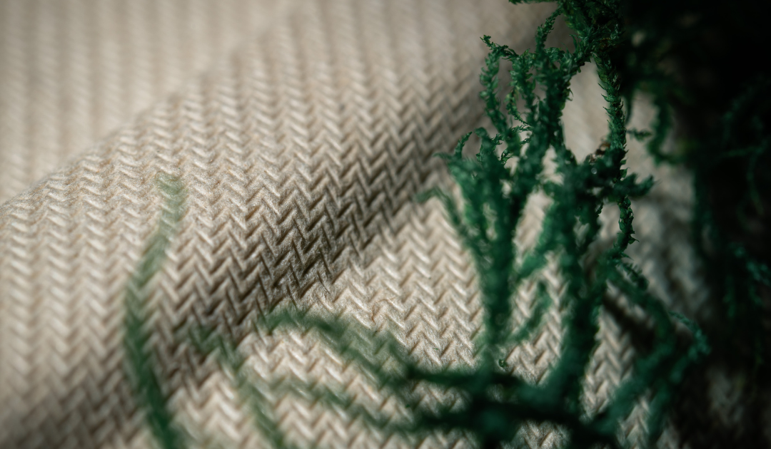 5 Innovative Sustainable Products for Restaurants