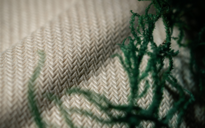 5 Innovative Sustainable Products for Restaurants