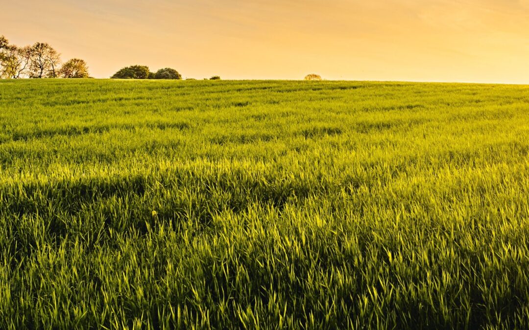 Greenwashing: Let’s Talk About It