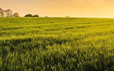 Greenwashing: Let’s Talk About It