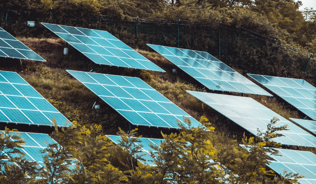 Positive Environmental News So Far This Year (2023)