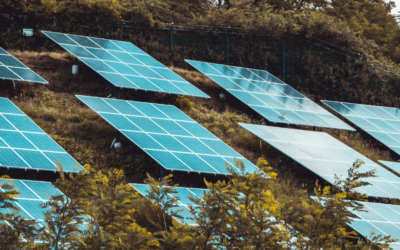 Positive Environmental News So Far This Year (2023)