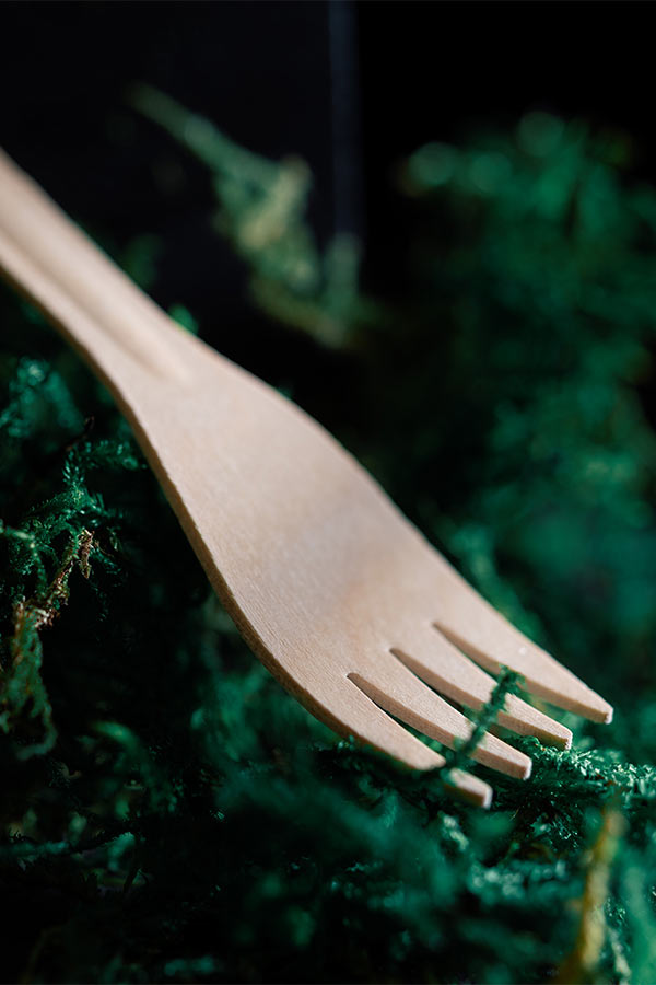 products_dining_cutlery_02_fork Compostable cutlery wood fork on moss