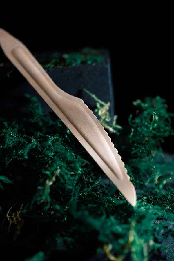 Compostable cutlery wood knife on moss