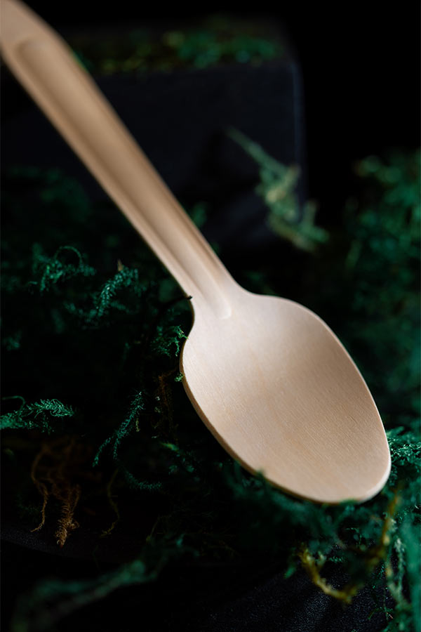 Compostable cutlery wood spoon on moss