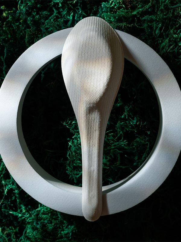 bagasse soup spoon in a circle over moss