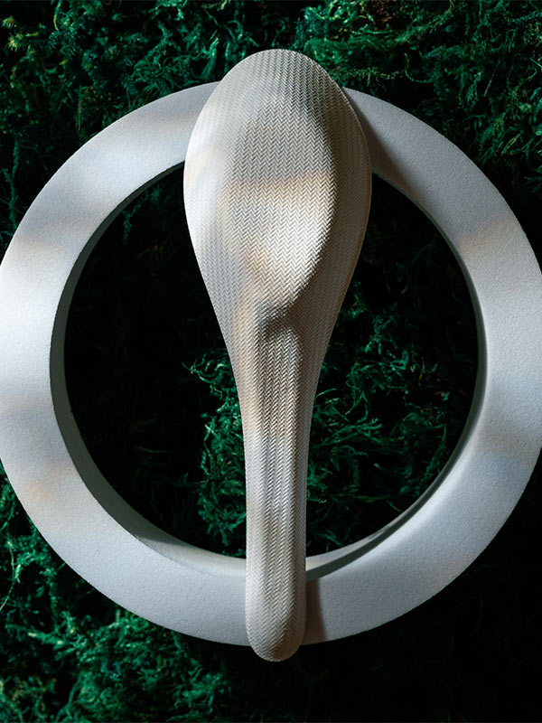 products_dining_cutlery_bagasse_07 bagasse soup spoon in a circle over moss