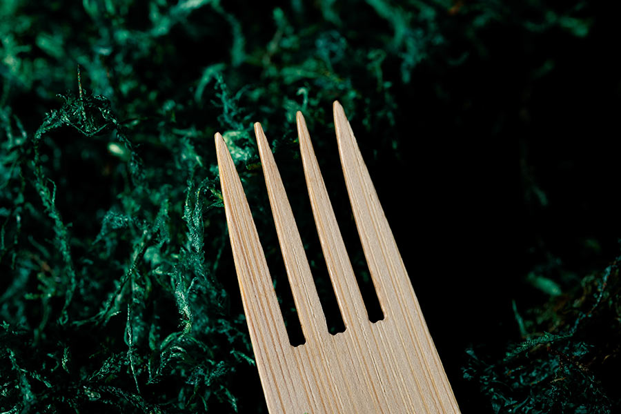 products_dining_cutlery_bamboo_02 compostable cutlery