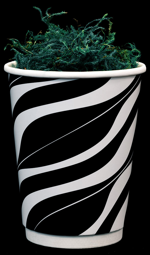 zebra pattern paper cup with moss inside 