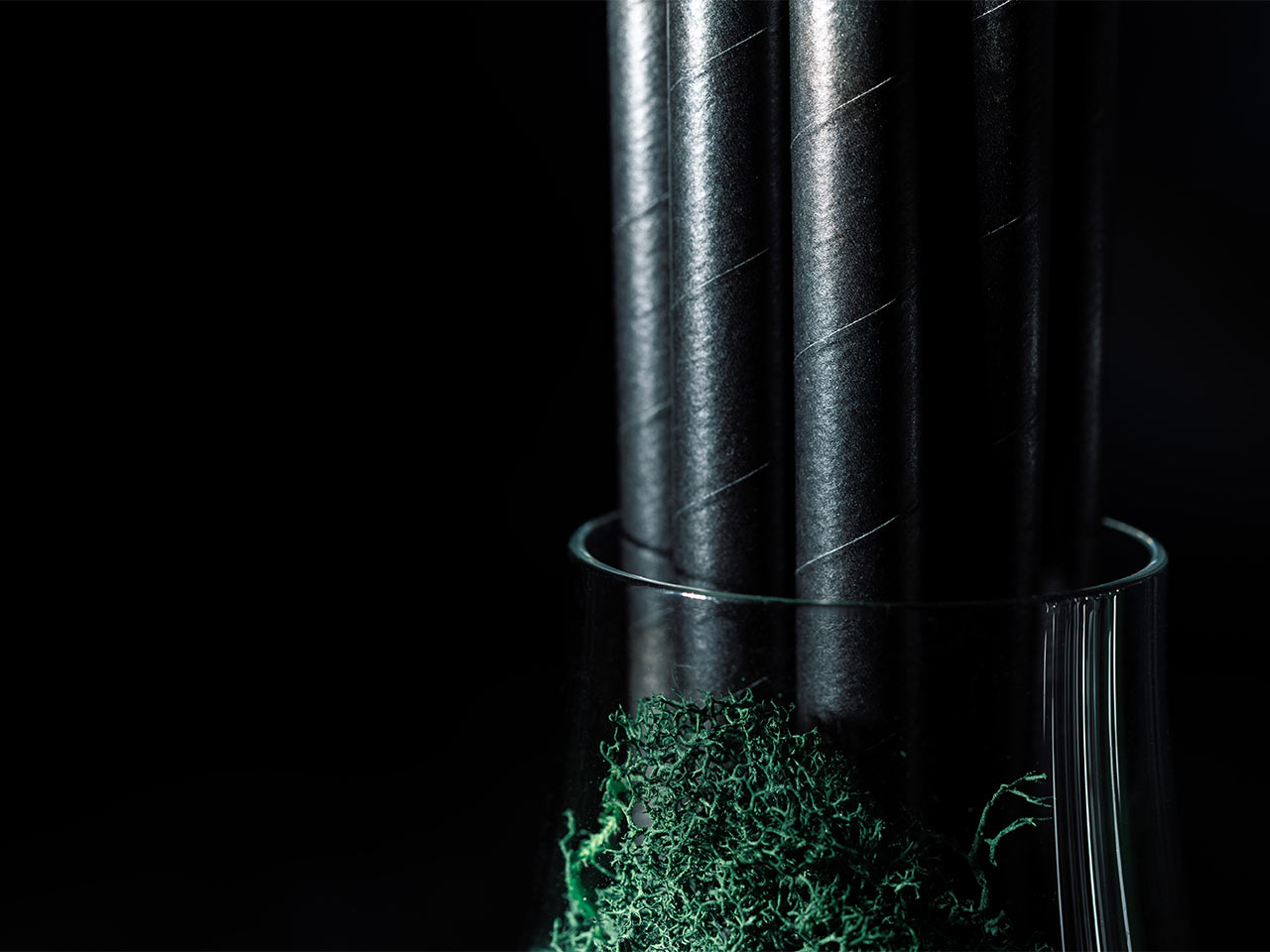 products_drinks_straws_02 glass full of moss with a stack of black compostable straws