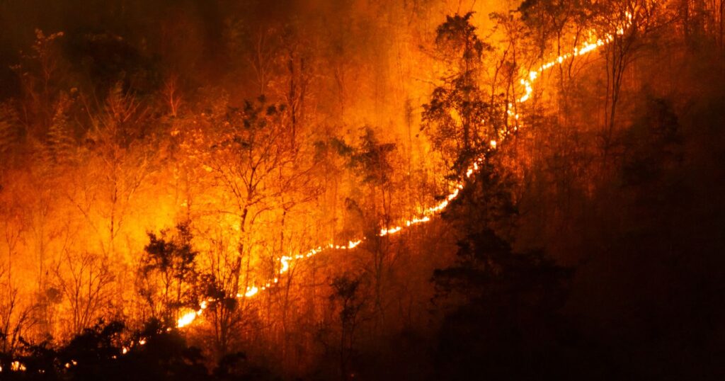 Canada Wildfires