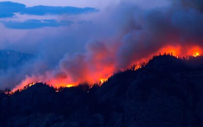 Global Heat Waves Shatter Records in 2023