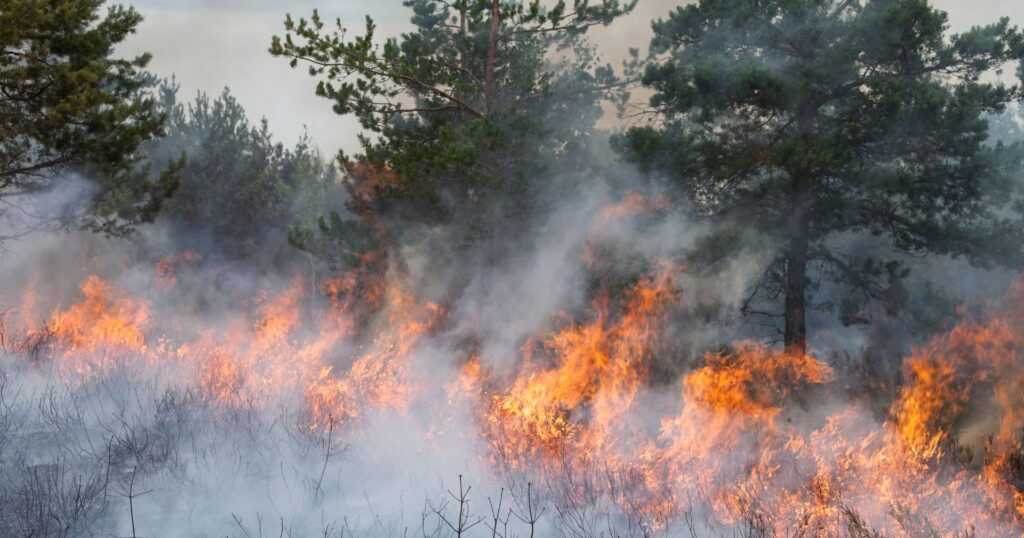 Canada Wildfires