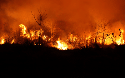 Is Climate Change Igniting Canada’s Wildfires?