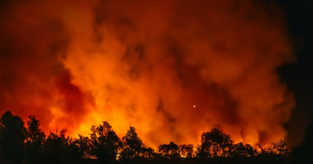 Forest fire caused by climate change and global warming