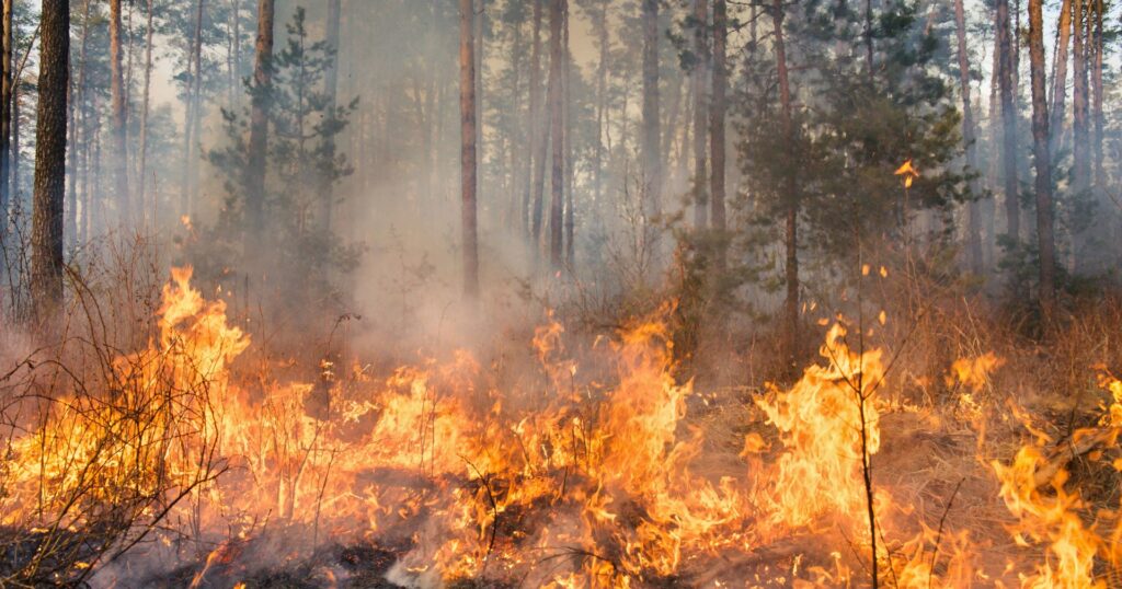 Canada Wildfires