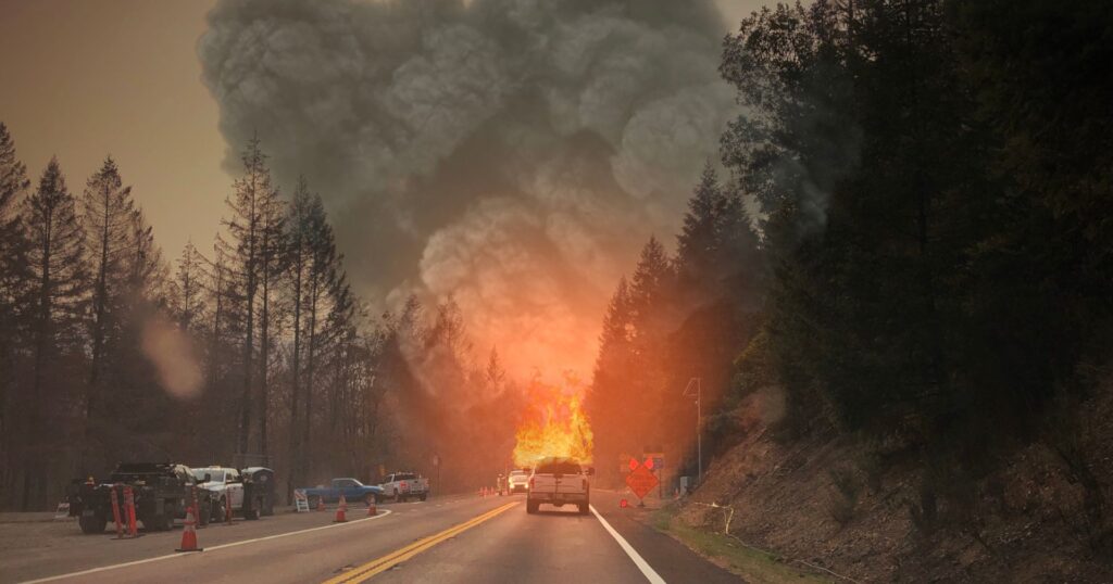 firefighters dealing with a forest fire caused by the global heat wave