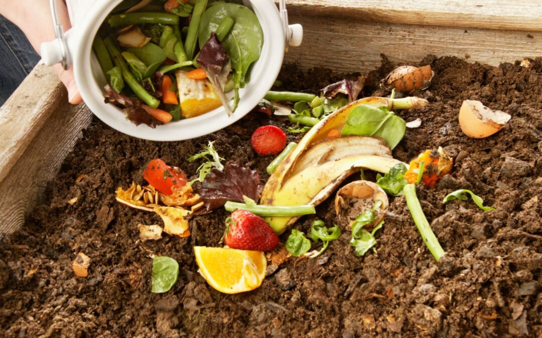 Home Composting versus Commercial Composting