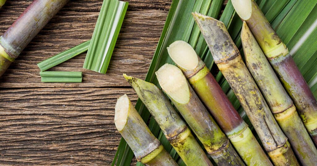 Sugarcane stalks on a wood table