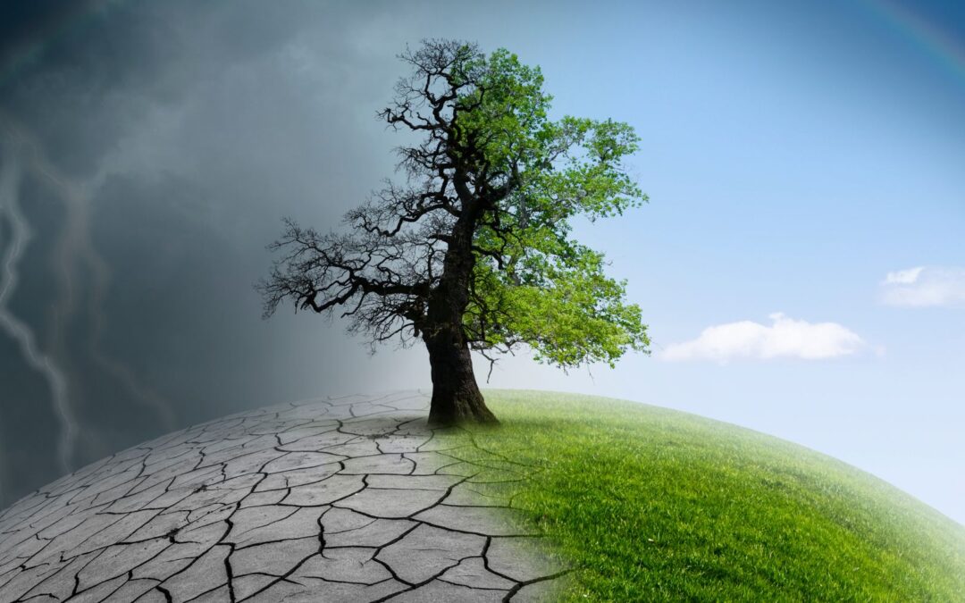 1.5°C Climate Threshold: What Happens If We Reach It?