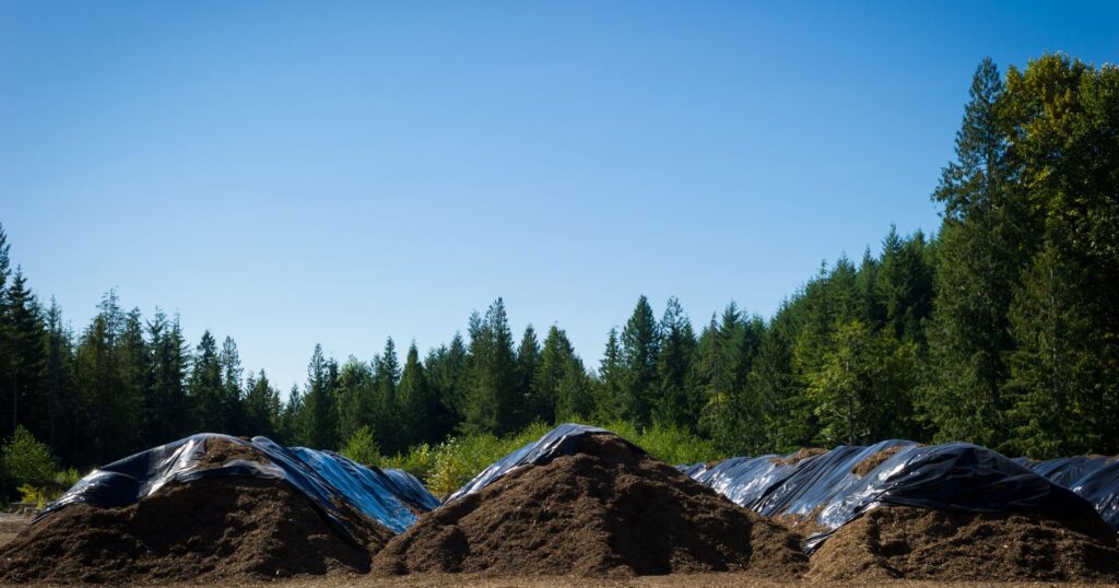 Piles of compost at a commercial facility