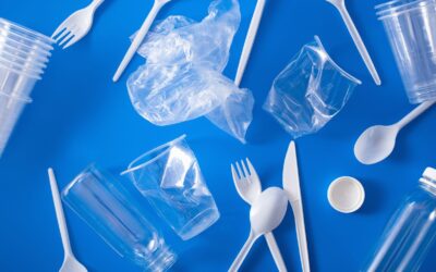 The BC Plastic Ban Breakdown (Updated)
