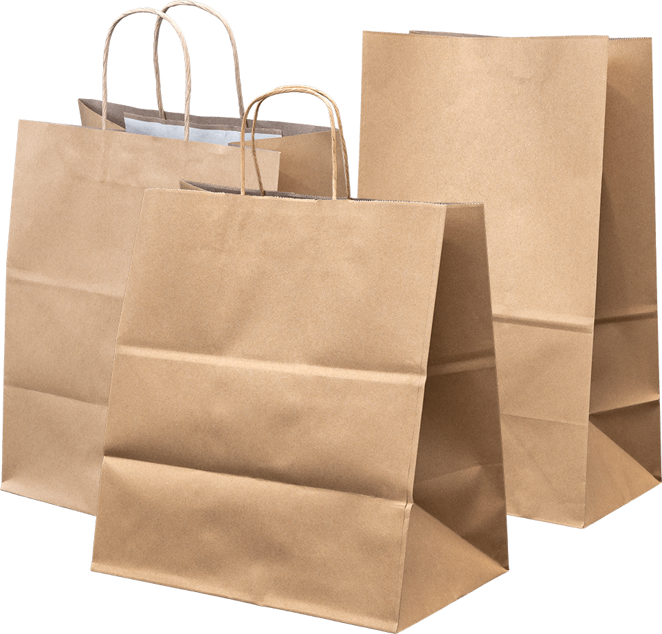 PAPER BAGとPAPER ３個 Crinkle Super Bag | Tortoise General Store