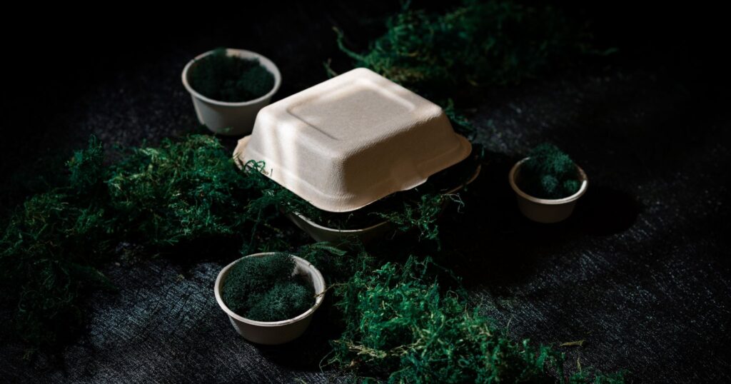 bagasse compostable takeout container covered in moss