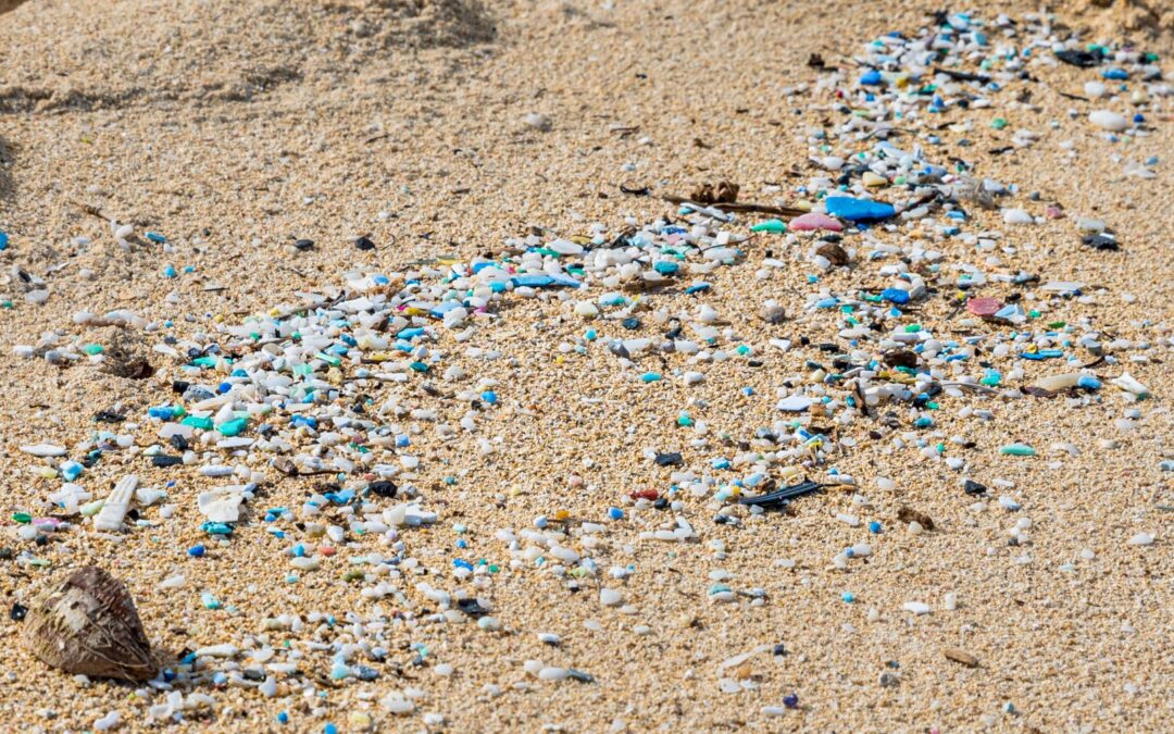 The Dangers of Microplastics in Humans, Food, and the Environment