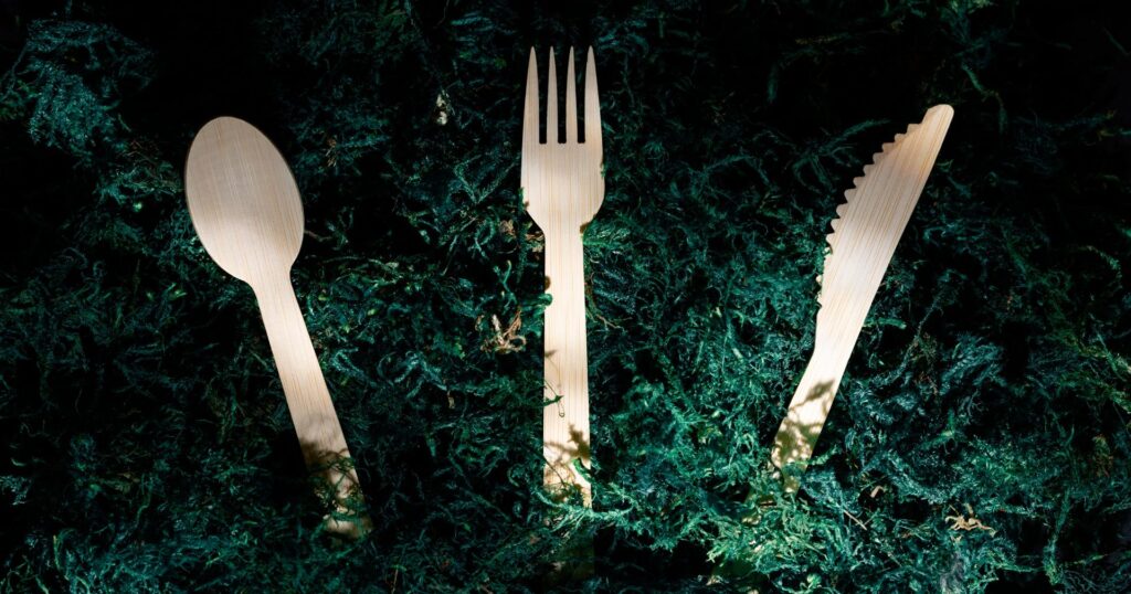 bamboo cutlery on a moss background, bc single-use plastic ban