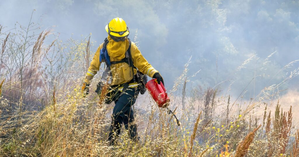 person in yellow protective gear for wildfire recovery, positive environmental news