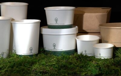 Your Guide to Compostable Takeout Containers