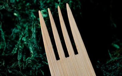 The Critical Role of Quality Control in Food Packaging