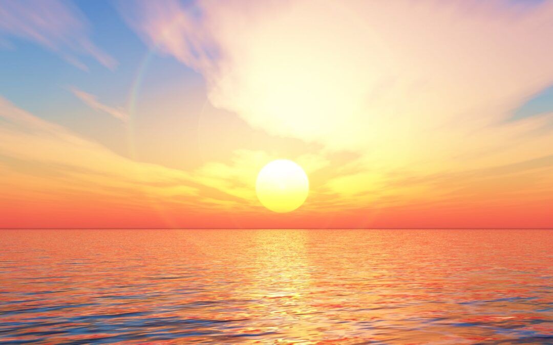 Positive Environmental News So Far (2024)