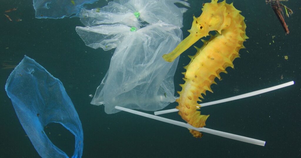 yellow seahorse swimming in plastic pollution