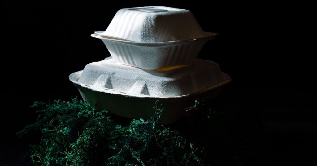 two bagasse clamshell containers stacked on green moss, takeout packaging plan
