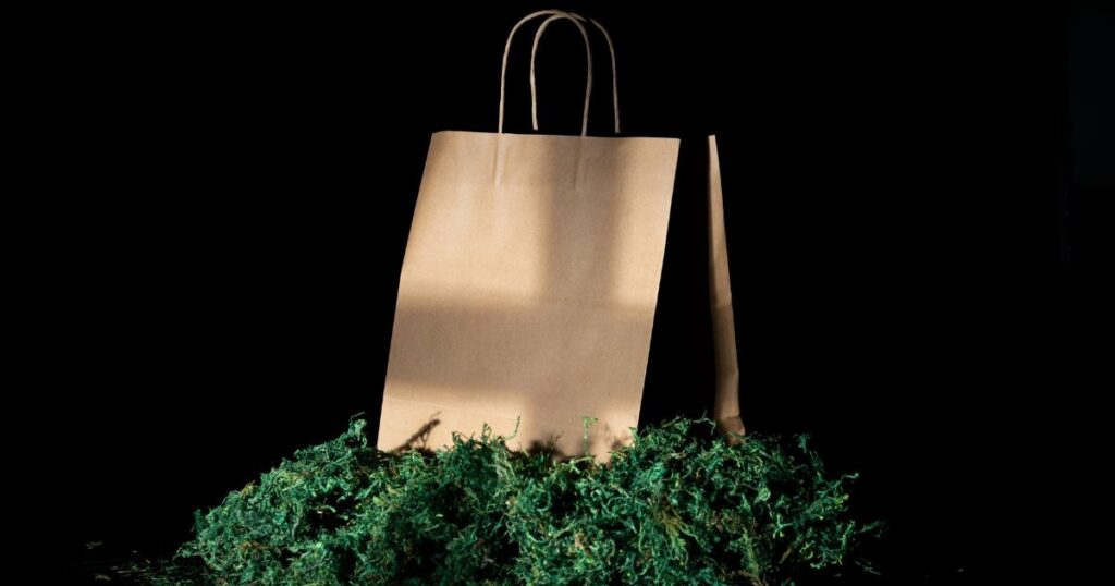 paper bag on green moss, takeout packaging plan