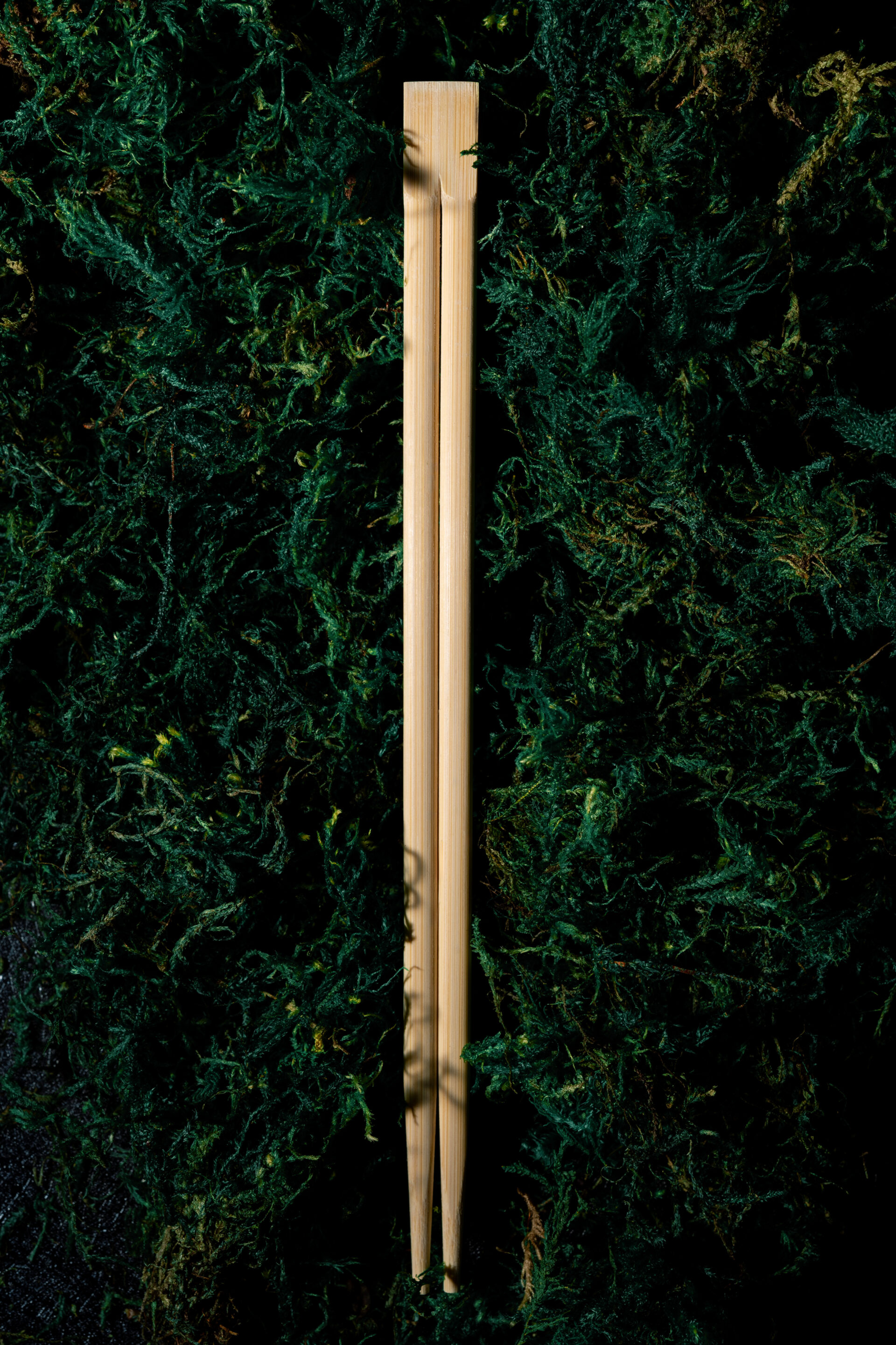 TYP_1186 three bamboo spoons on green moss